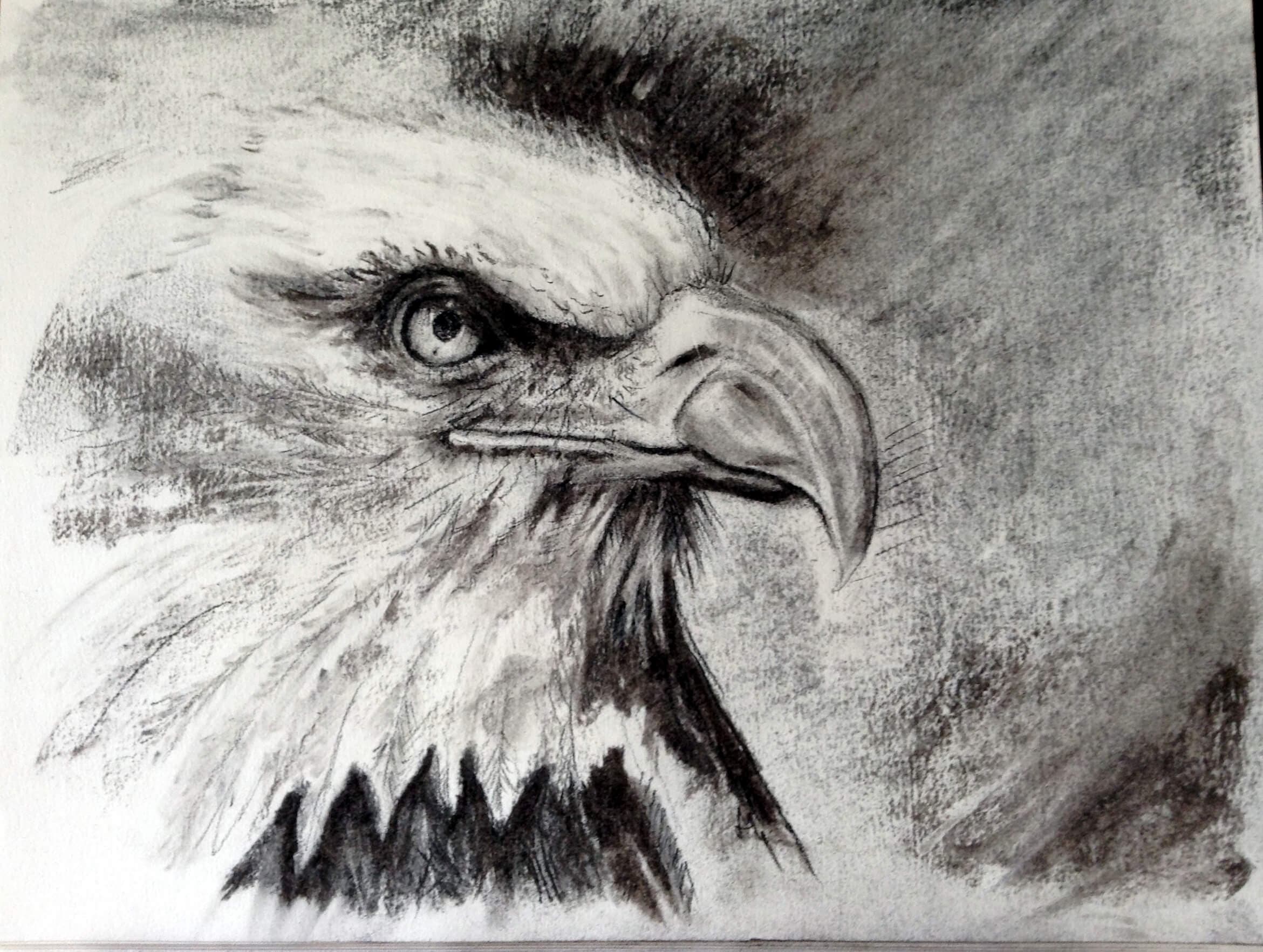 Eagle
